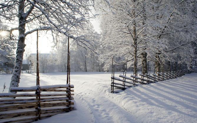 Mannflogarden Bed & Breakfast , Saelenfjaellen Luaran gambar